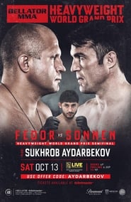 Bellator 208 Fedor vs Sonnen' Poster