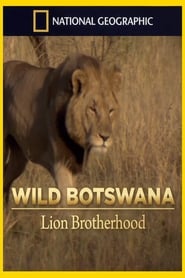 Lion Brotherhood' Poster