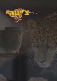 Cheetah' Poster