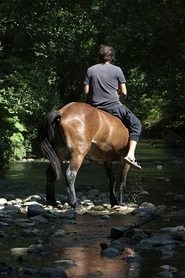 The Boy from the River Drina' Poster