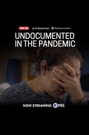 Undocumented in the Pandemic' Poster