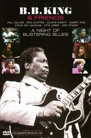 BB King  Friends' Poster