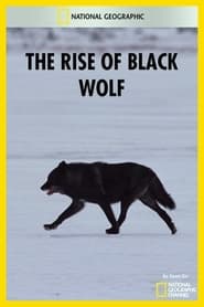 The Rise of Black Wolf' Poster