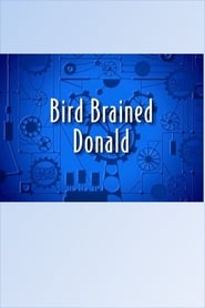 Bird Brained Donald' Poster