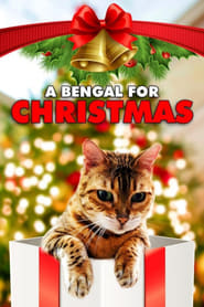 A Bengal for Christmas' Poster