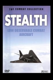 Stealth Low Observable Combat Aircraft' Poster