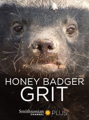 Honey Badger Grit' Poster