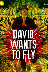 David Wants to Fly' Poster
