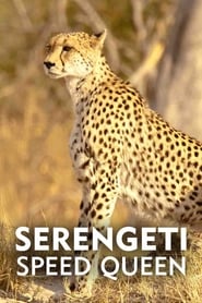 Serengeti Speed Queen' Poster