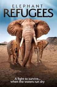 Elephant Refugees' Poster