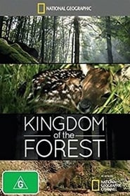 Kingdom of the Forest' Poster