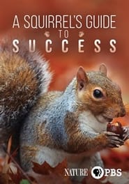 A Squirrels Guide to Success' Poster