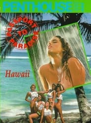 Passport to Paradise Hawaii' Poster