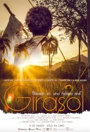 Girasol' Poster