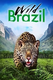 Wild Brazil' Poster