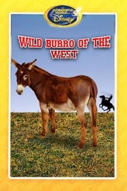 Wild Burro of the West' Poster