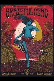 Grateful Dead 20150627  Santa Clara CA' Poster