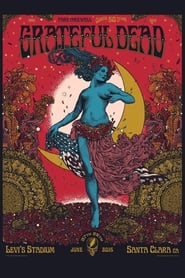 Grateful Dead 20150628  Santa Clara CA' Poster