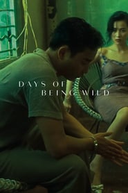 Days of Being Wild' Poster