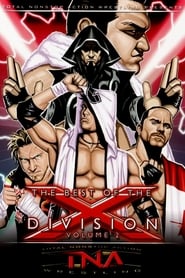 The Best of the X Division Vol 2' Poster