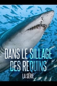 Dans Le Sillage Des Requins  La Vie Secrte' Poster