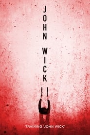 Training John Wick' Poster