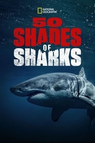 50 Shades of Sharks' Poster