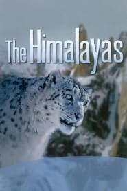 The Himalayas' Poster