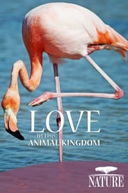 Nature Love in the Animal Kingdom' Poster