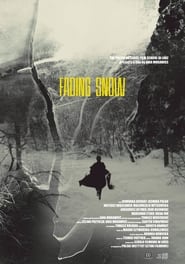 Fading Snow' Poster