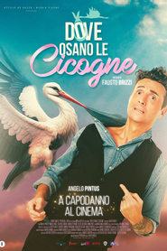 Dove osano le cicogne' Poster