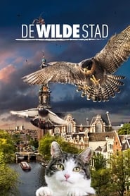 Wild Amsterdam' Poster