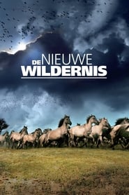 The New Wilderness' Poster