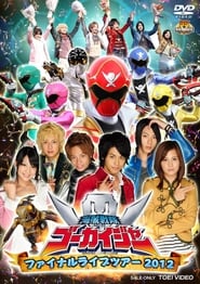 Streaming sources forKaizoku Sentai Gokaiger Final Live Tour 2012