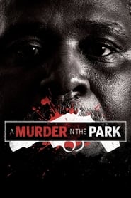 A Murder in the Park' Poster