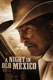 A Night in Old Mexico' Poster