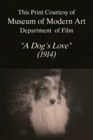 A Dogs Love' Poster