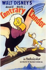 Contrary Condor' Poster