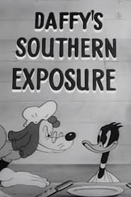 Daffys Southern Exposure' Poster