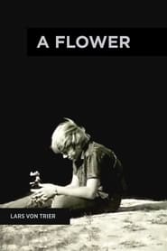 A Flower' Poster