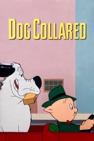 Dog Collared' Poster