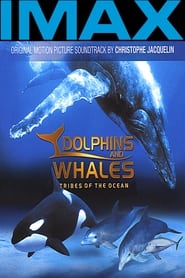 Dolphins and Whales 3D Tribes of the Ocean' Poster
