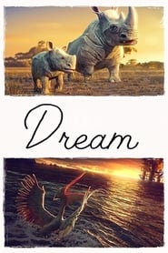 Dream' Poster