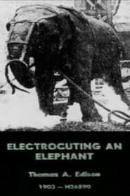 Electrocuting an Elephant' Poster
