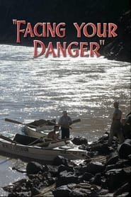 Facing Your Danger' Poster