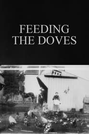 Feeding the Doves' Poster