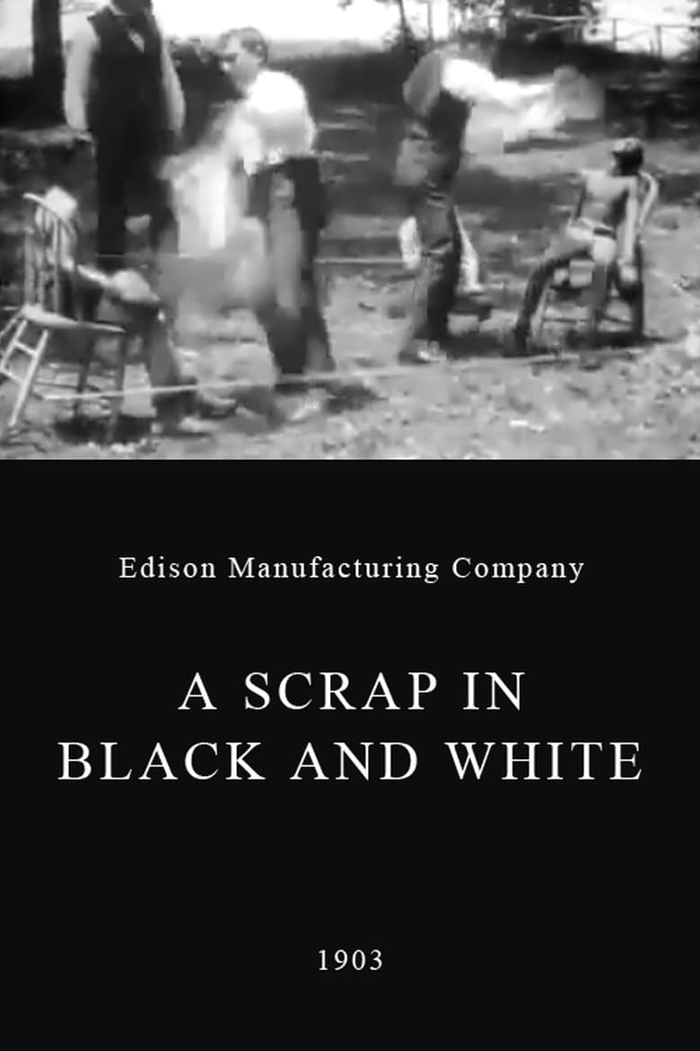 A Scrap in Black and White Poster