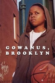 Gowanus Brooklyn' Poster