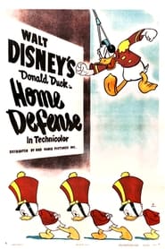 Home Defense' Poster