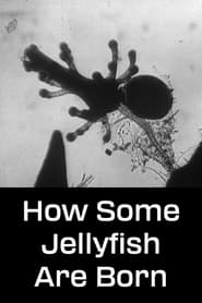 How Some Jellyfish Are Born' Poster